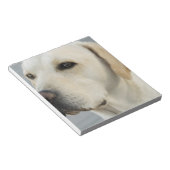 イエロー・ラブラドール・レトリーバーメモ ノートパッド (アングル)