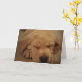 イエロー・ラブラドール・レトリーバー子犬の睡眠 カード (黄色い花)