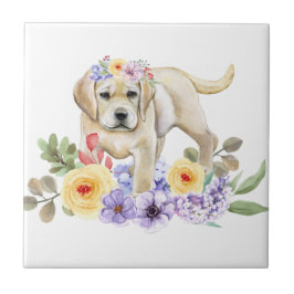 イエロー・ラブラドール・レトリーバー子犬 タイル