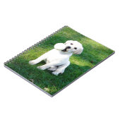 イエロー・ラブラドール・レトリーバー子犬 ノートブック (左側)