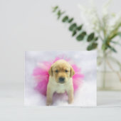 イエロー・ラブラドール・レトリーバー子犬 ポストカード (スタンド正面)