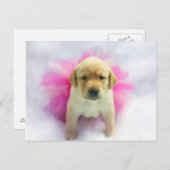 イエロー・ラブラドール・レトリーバー子犬 ポストカード (正面/裏面)