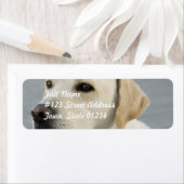 イエロー・ラブラドール・レトリーバー宛名ラベル ラベル (インサイチュ)