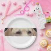 イエロー・ラブラドール・レトリーバー目 ペーパープレート (パーティー)