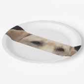 イエロー・ラブラドール・レトリーバー目 ペーパープレート (アングル)