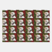 イエロー・ラブラドール・レトリーバー ラッピングペーパーシート (正面2)