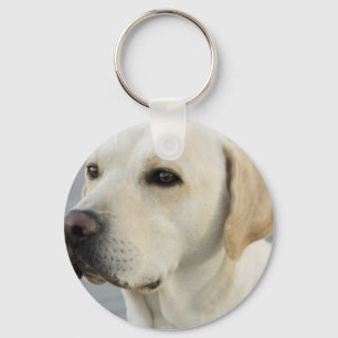 イエロー・ラブラドール・レトリーバーKeychain キーホルダー