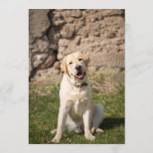 イエロー ラボ バー メニュー (裏面)