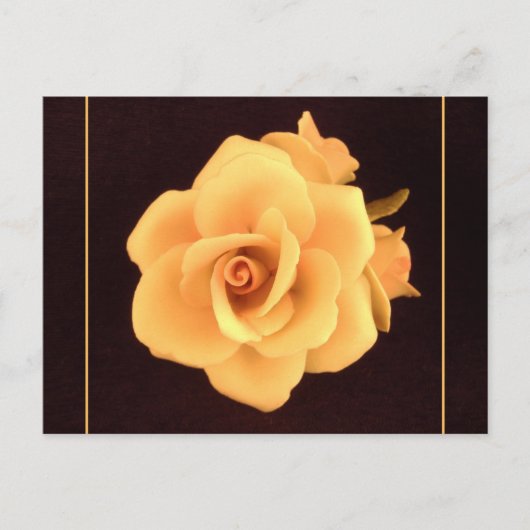 イエロー・ローズ、2004年撮影の写真。 ポストカード (正面)