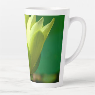 イエロー《植物》スイレンラテマグ カフェラテマグ