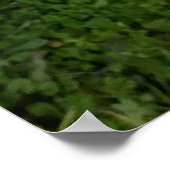 イエロ鮮やかハイビスカス開花 ポスター (角)