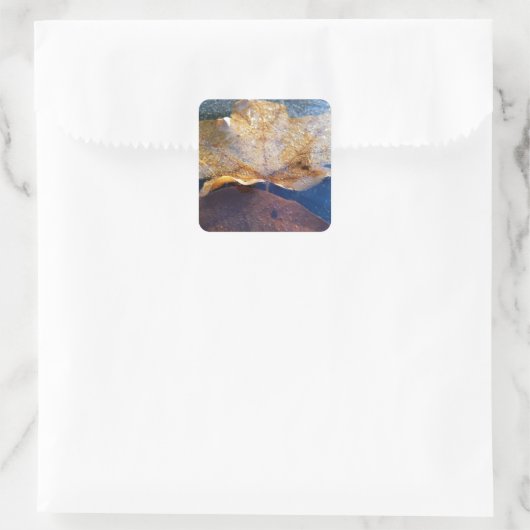 イエ凍っていローメープルリーフオータム自然 スクエアシール (バッグ)