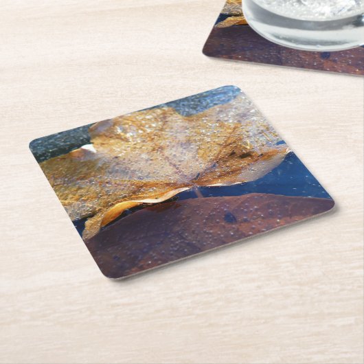 イエ凍っていローメープルリーフオータム自然 スクエアペーパーコースター (アングル)