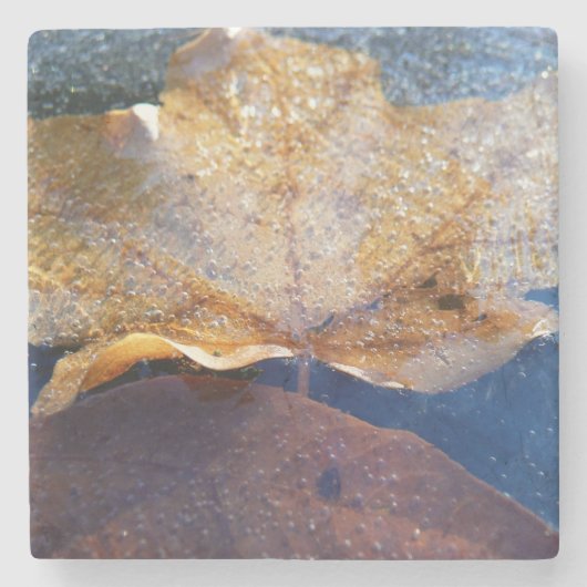 イエ凍っていローメープルリーフオータム自然 ストーンコースター (正面)