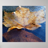 イエ凍っていローメープルリーフオータム自然 ポスター (正面)