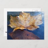 イエ凍っていローメープルリーフオータム自然 ポストカード (正面/裏面)