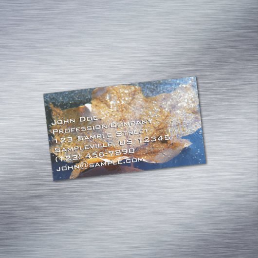 イエ凍っていローメープルリーフオータム自然 マグネット名刺 (インサイチュ)