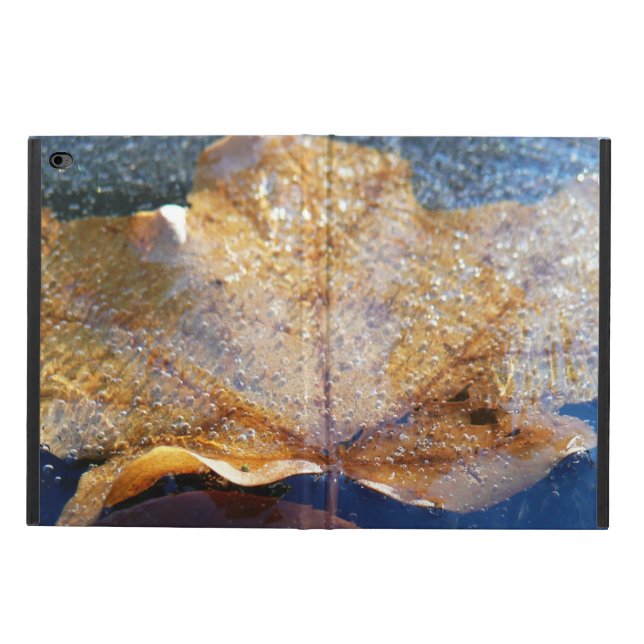 イエ凍っていローメープルリーフオータム自然 POWIS iPad AIR 2 ケース (外側)