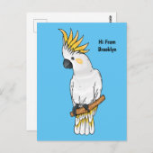 イオウの冠を持つコカトゥーの鳥の漫画イラストレーション ポストカード (正面/裏面)