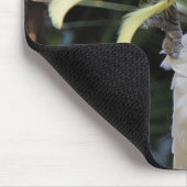 イオウの鳥冠 マウスパッド (コーナー)