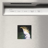 イオウクリステッド・コッカトー磁石 マグネット (インサイチュ (食洗機))