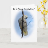 イオウクレストコッカト誕生日カード カード (黄色い花)