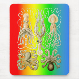 イカおよびOctopods マウスパッド
