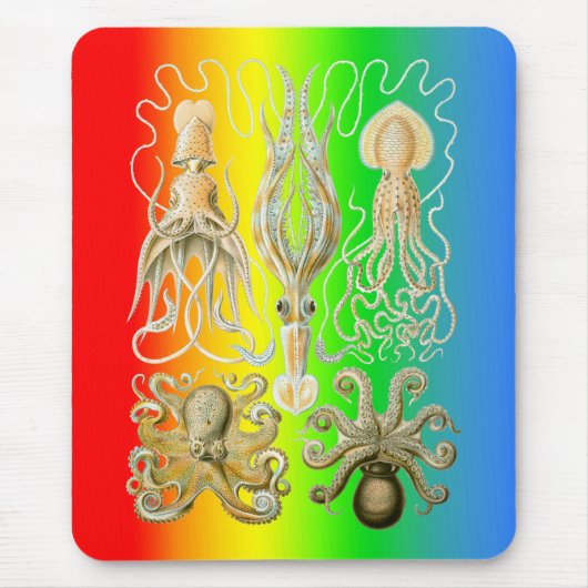 イカおよびOctopods マウスパッド (正面)