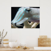 イカのポスター ポスター (キッチン)