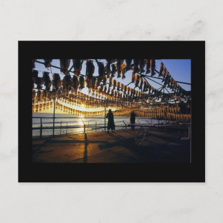 イカの乾燥 ポストカード