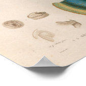 イカスブルーヴィンテージシークリージャーアートプリント ポスター (角)