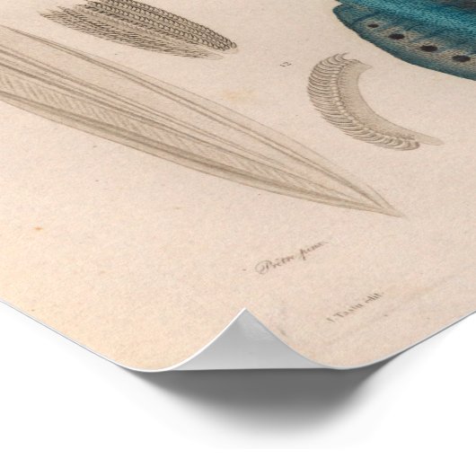 イカスブルーヴィンテージシークリージャーアートプリント ポスター (角)