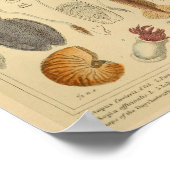 イカタコ頭足動物海クリージャーアートプリント ポスター (角)