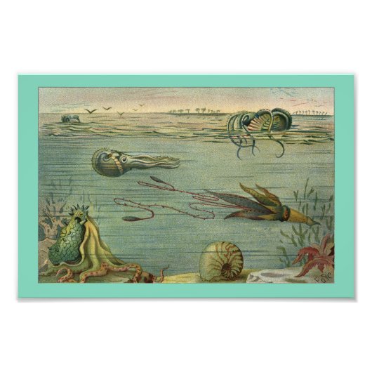 イカマリンライフタコヴィンテージ1904プリント フォトプリント            (正面)