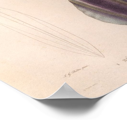 イカレッドパープルヴィンテージシークリージャーアートプリント ポスター (角)