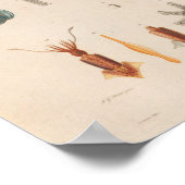 イカレッドブルーヴィンテージシークリージャーアートプリント ポスター (角)