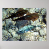 イカワナベ ポスター (正面)