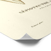 イカヴィンテージセファロポッドシークリージャーアートプリント ポスター (角)