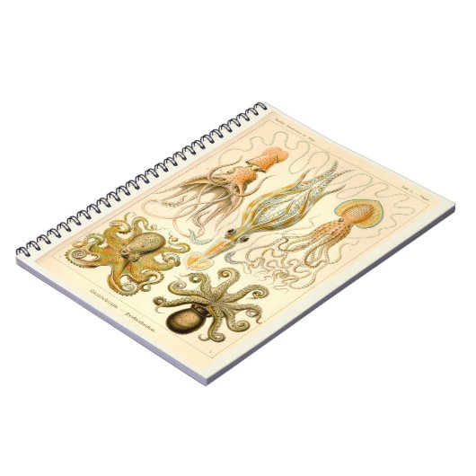 イカ海 ノートブック (左側)