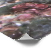 イカ目を見張る ポスター (角)