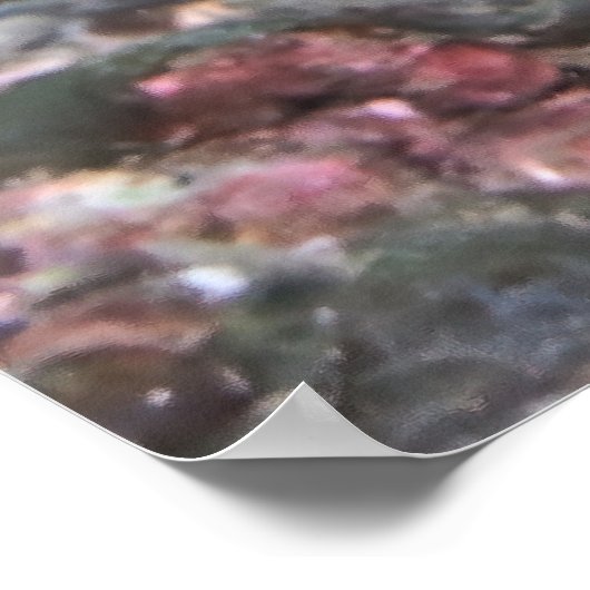 イカ目を見張る ポスター (角)