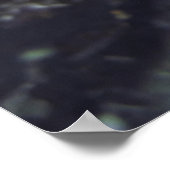 イカ顔 ポスター (角)