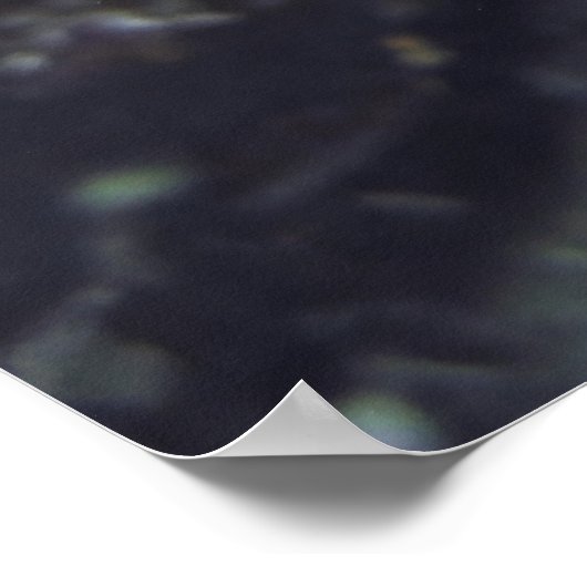 イカ顔 ポスター (角)