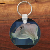 イカ類 キーホルダー (正面)