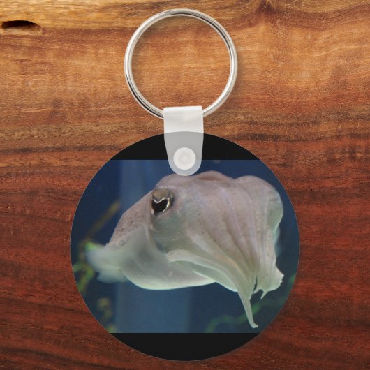 イカ類 キーホルダー (正面)