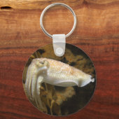 イカ キーホルダー (正面)