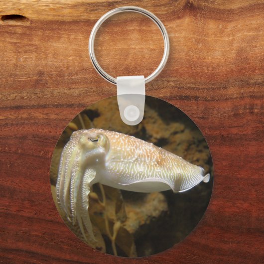 イカ キーホルダー (正面)