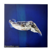 イカ タイル (正面)