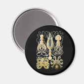 イカ&タコ マグネット (正面/裏面)