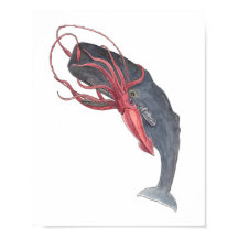 イカ・ホエールウォーターカラープリント